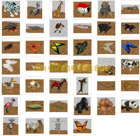收集合集7动物模型.jpg