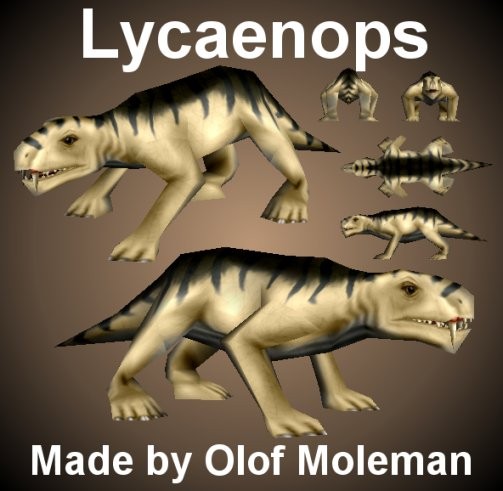 Lycaenops.jpg