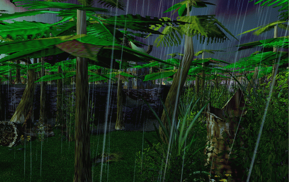 暴雨中的雨林.gif